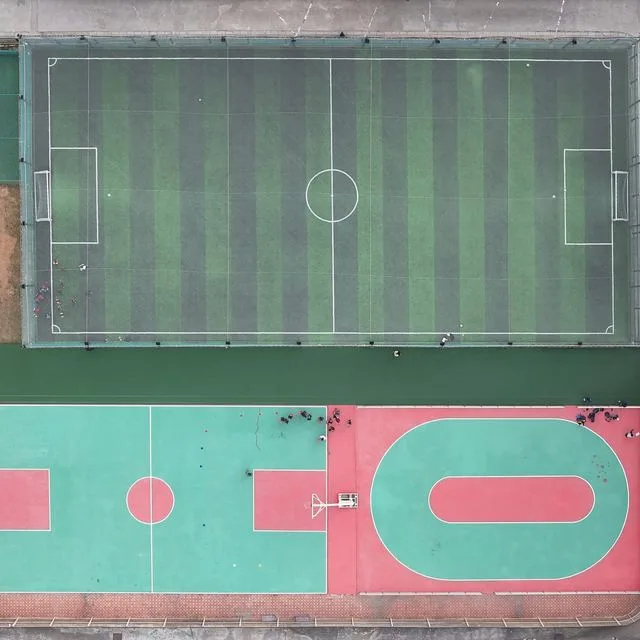 GoldenBee Sports — @goldenbee_school on Instagram