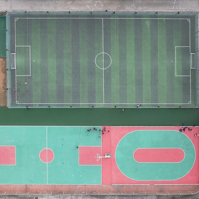 GoldenBee Sports — @goldenbee_school on Instagram