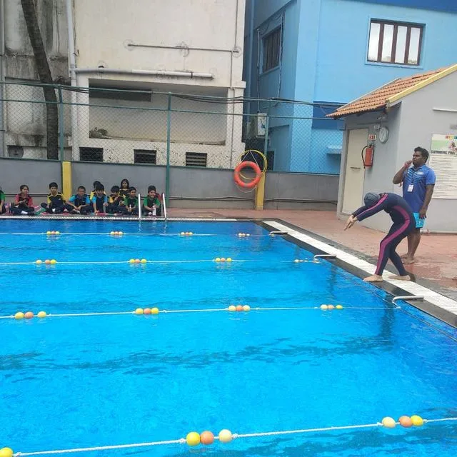 GoldenBee Swimming — @goldenbee_school on Instagram