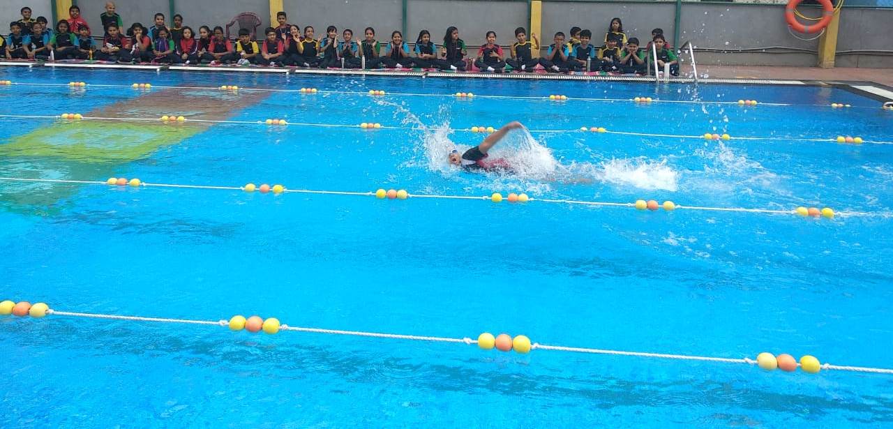 GOLDEN DIVE 2025: A Spectacular Show of Swimming Talent at GoldenBee!